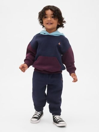 Baby & Kleinkind VintageSoft Colorblock Hoodie Set