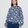 Lilo & Stitch – Schwerer French-Terry-Kapuzenpullover für Erwachsene mit Grafik