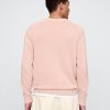 Raglan-Pullover mit Rundhalsausschnitt Raglan-Pullover mit Rundhalsausschnitt