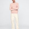 Raglan-Pullover mit Rundhalsausschnitt Raglan-Pullover mit Rundhalsausschnitt